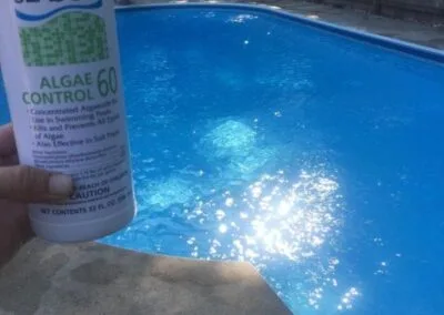 Superior Pool Algae Control